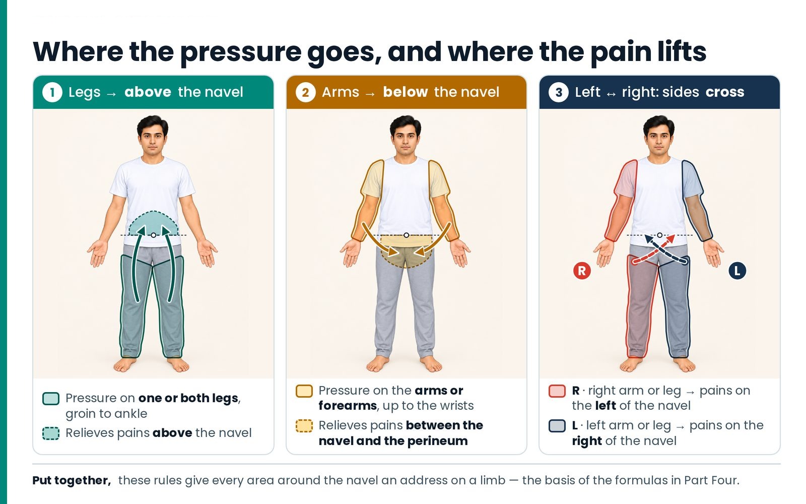 Where the pressure goes, and where the pain lifts. Legs for pains above the navel, arms for pains below it; the left lim