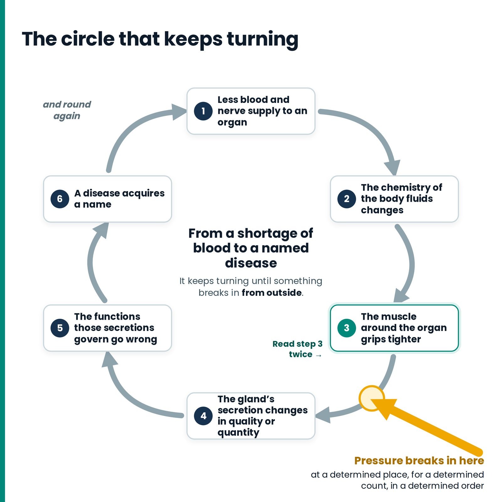 The circle that keeps turning. The six-step chain closes into a circle that worsens by itself; pressure at a determined