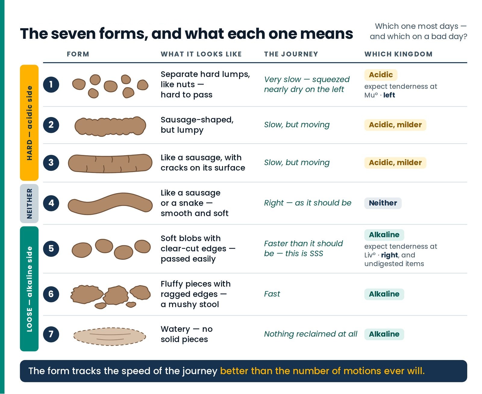 The seven forms, and what each one means. The chart the patient points at: seven schematic stool forms, each with the ar