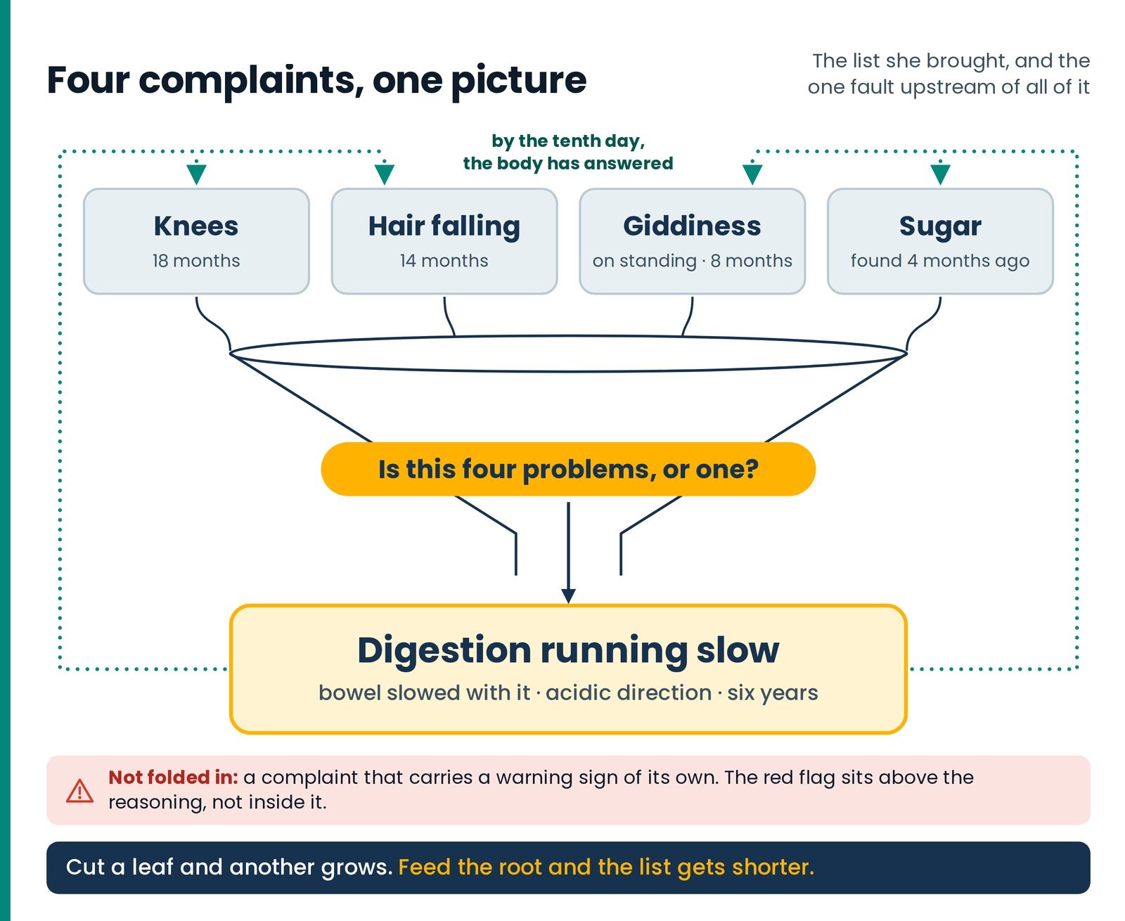 Four complaints, one picture. Knees, hair falling, giddiness and sugar drop into one funnel — 'Is this four problems, or