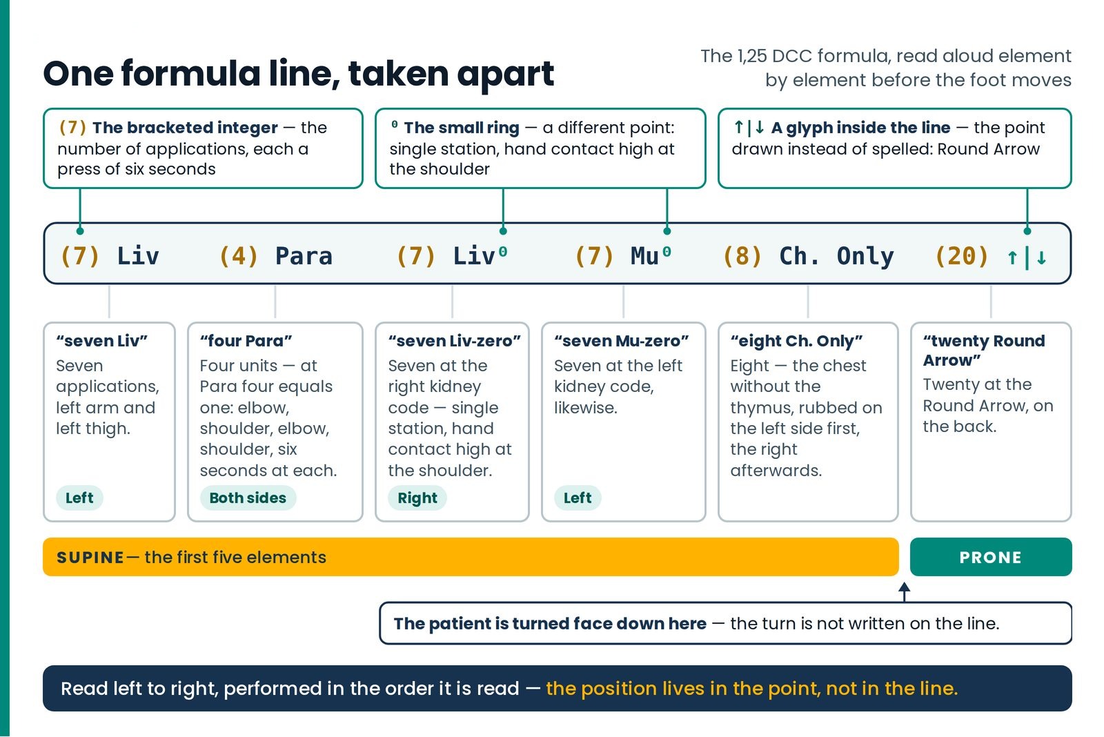 One formula line, taken apart. The 1,25 DCC line (7) Liv (4) Para (7) Liv⁰ (7) Mu⁰ (8) Ch. Only (20) ↑|↓ split into its 