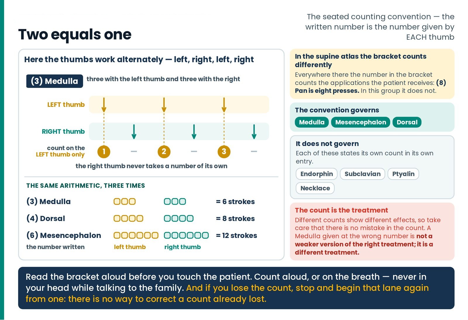 Two equals one. The seated counting convention drawn as a ledger: (3) Medulla as six alternating strokes with the spoken