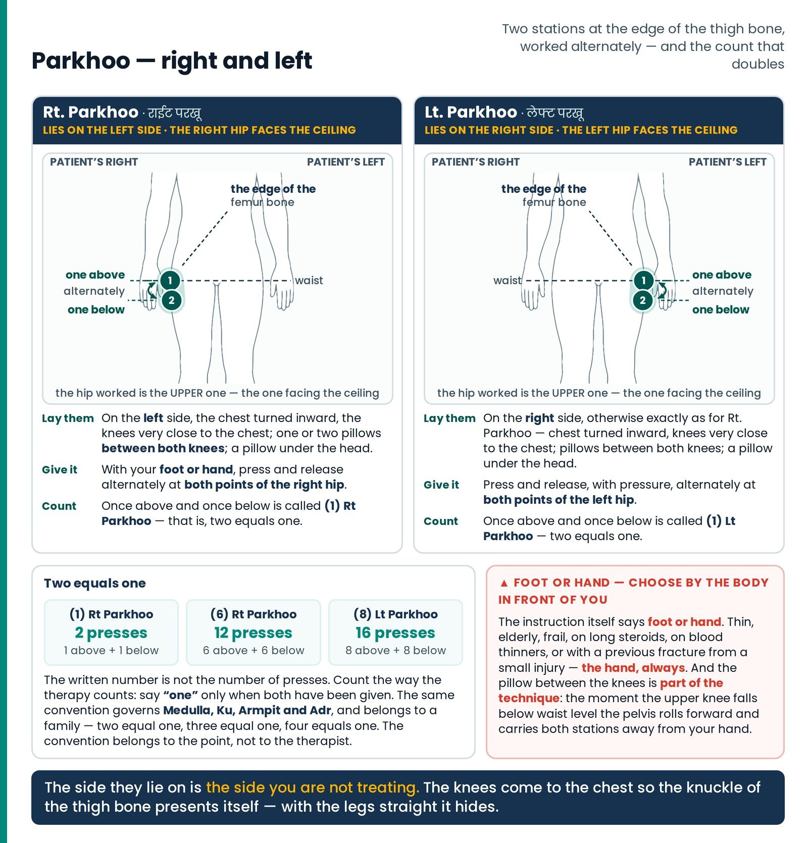 Parkhoo — right and left. Rt. and Lt. Parkhoo as mirror pages: the two stations at the edge of the thigh bone worked alt