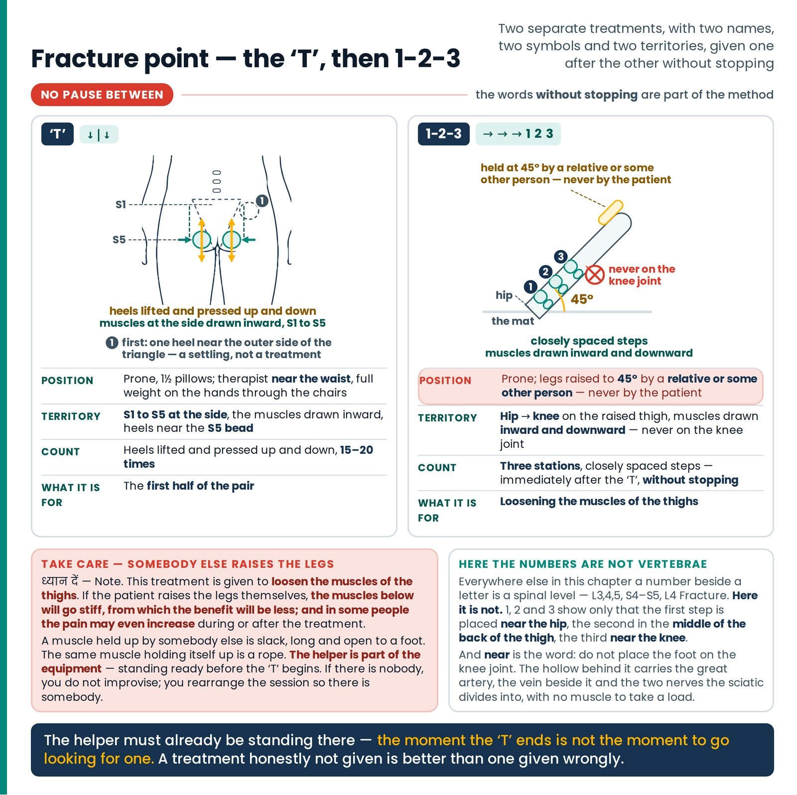 Fracture point — the 'T', then 1-2-3. The pair given without stopping: the heels pumping at S5 inside the sacral territo