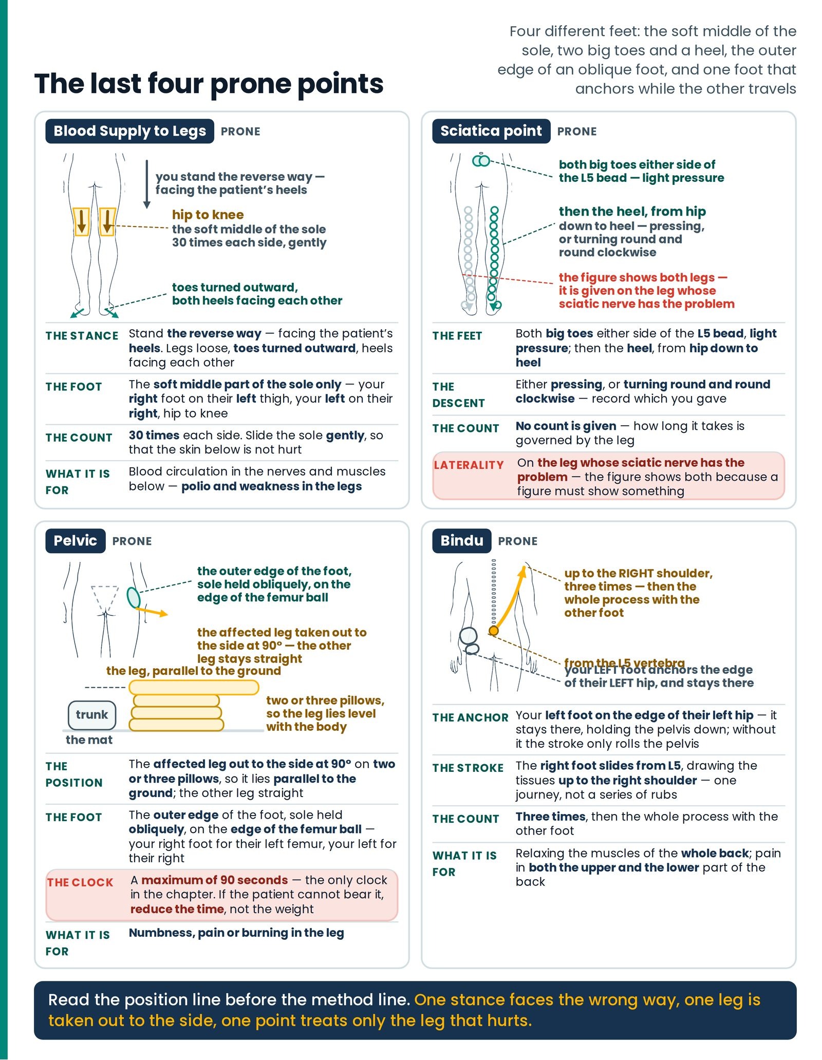 The last four prone points. Blood Supply to Legs, Sciatica point, Pelvic and Bindu on one sheet — four different contact