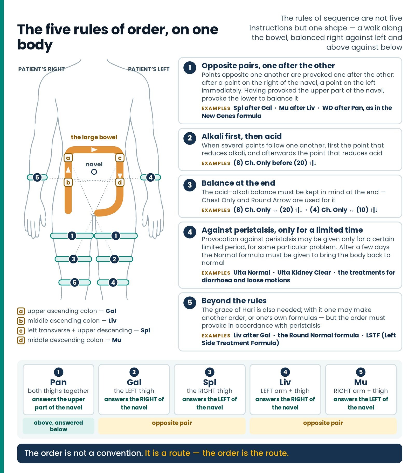 The five rules of order, on one body. The Normal formula's five steps marked on the limbs, each joined by a dotted leade