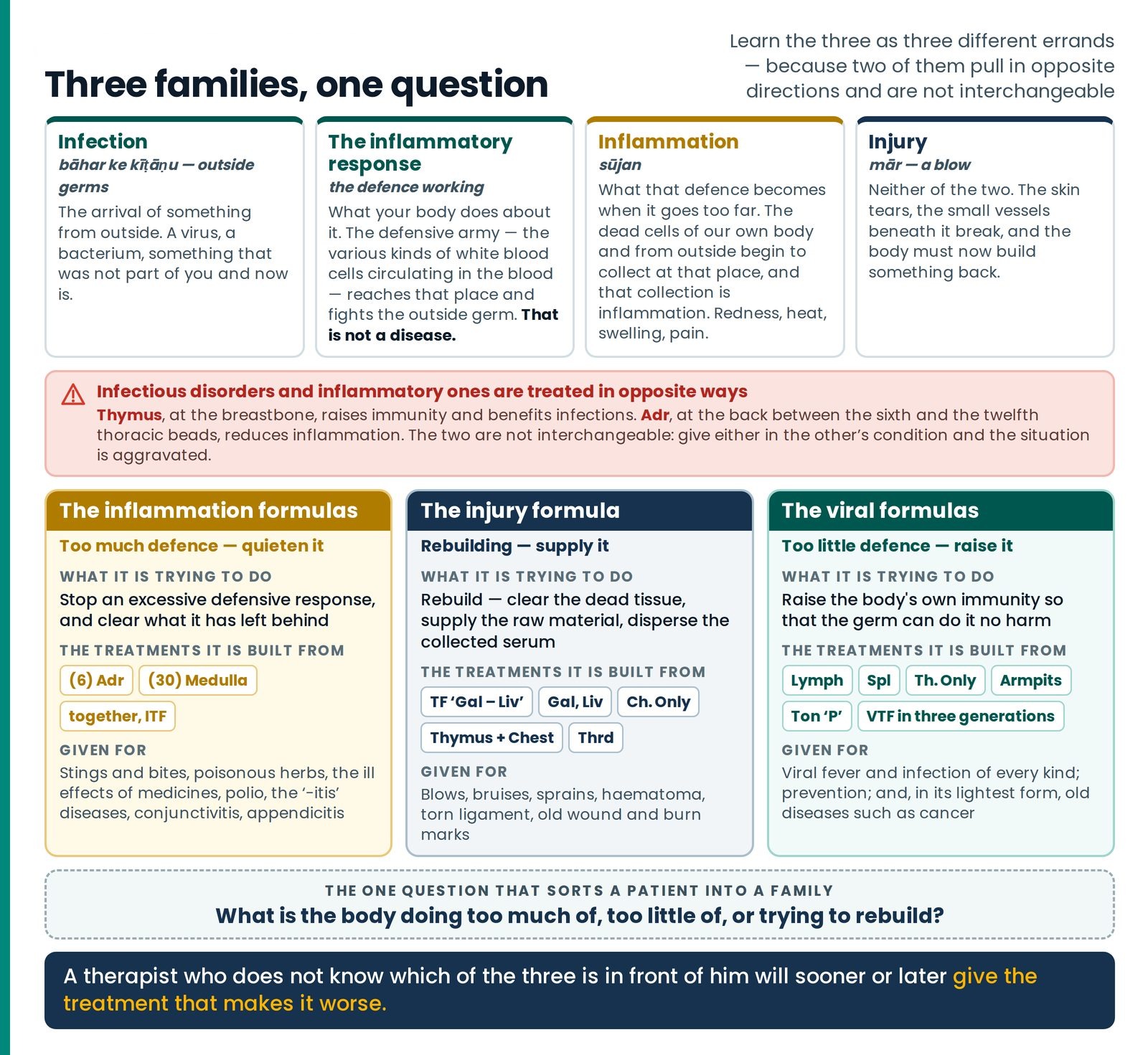 Three families, one question. The article's spine on one sheet: the four words set apart — infection, the inflammatory r