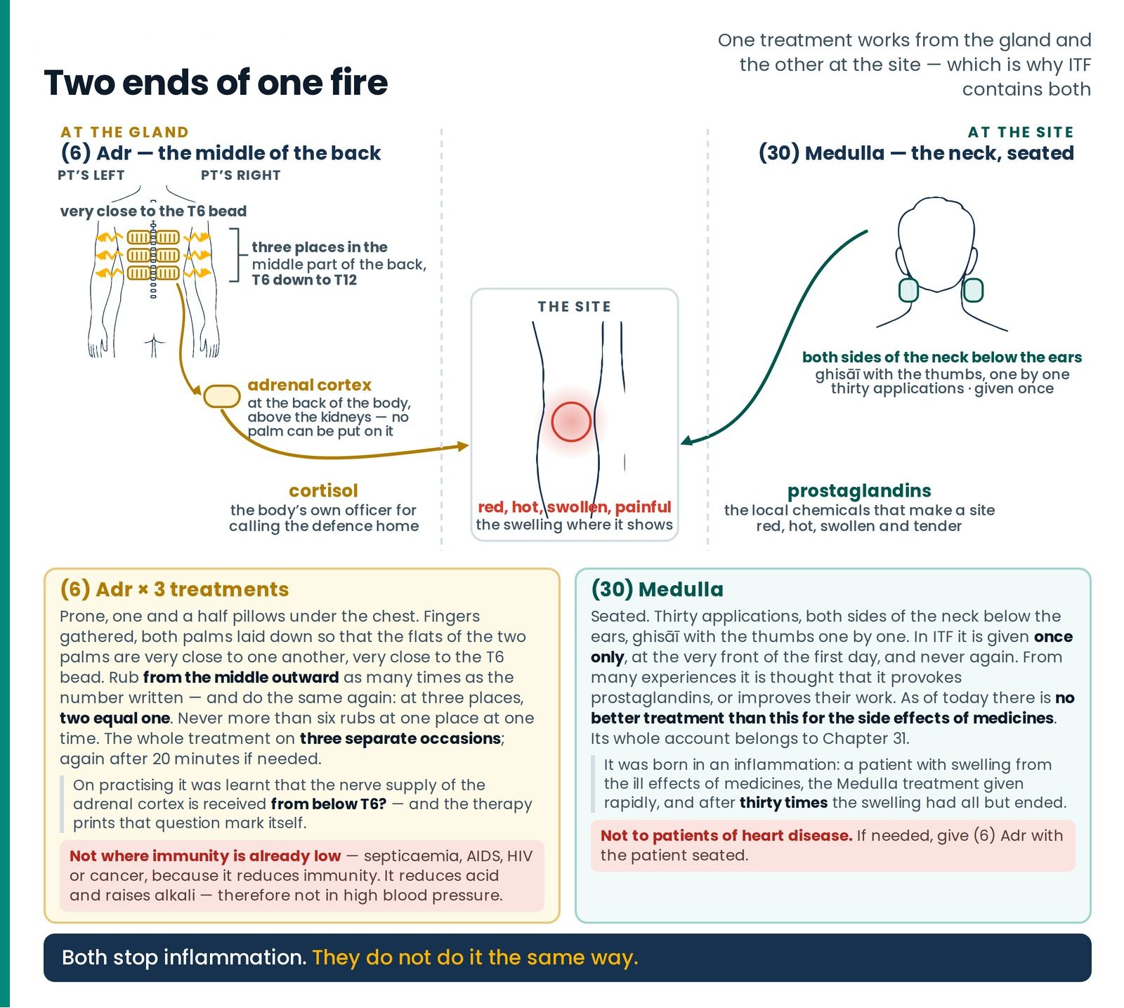 Two ends of one fire. Why ITF holds two treatments rather than one given twice: (6) Adr at the gathered palms beside T6,