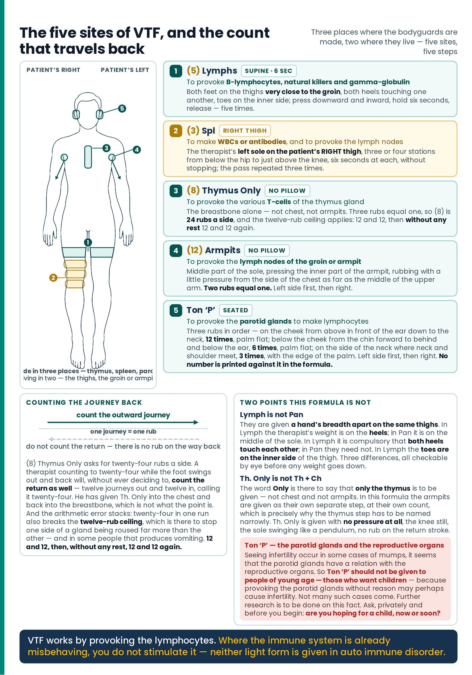 The five sites of VTF, and the count that travels back. The viral formula laid on the body — three places where the body