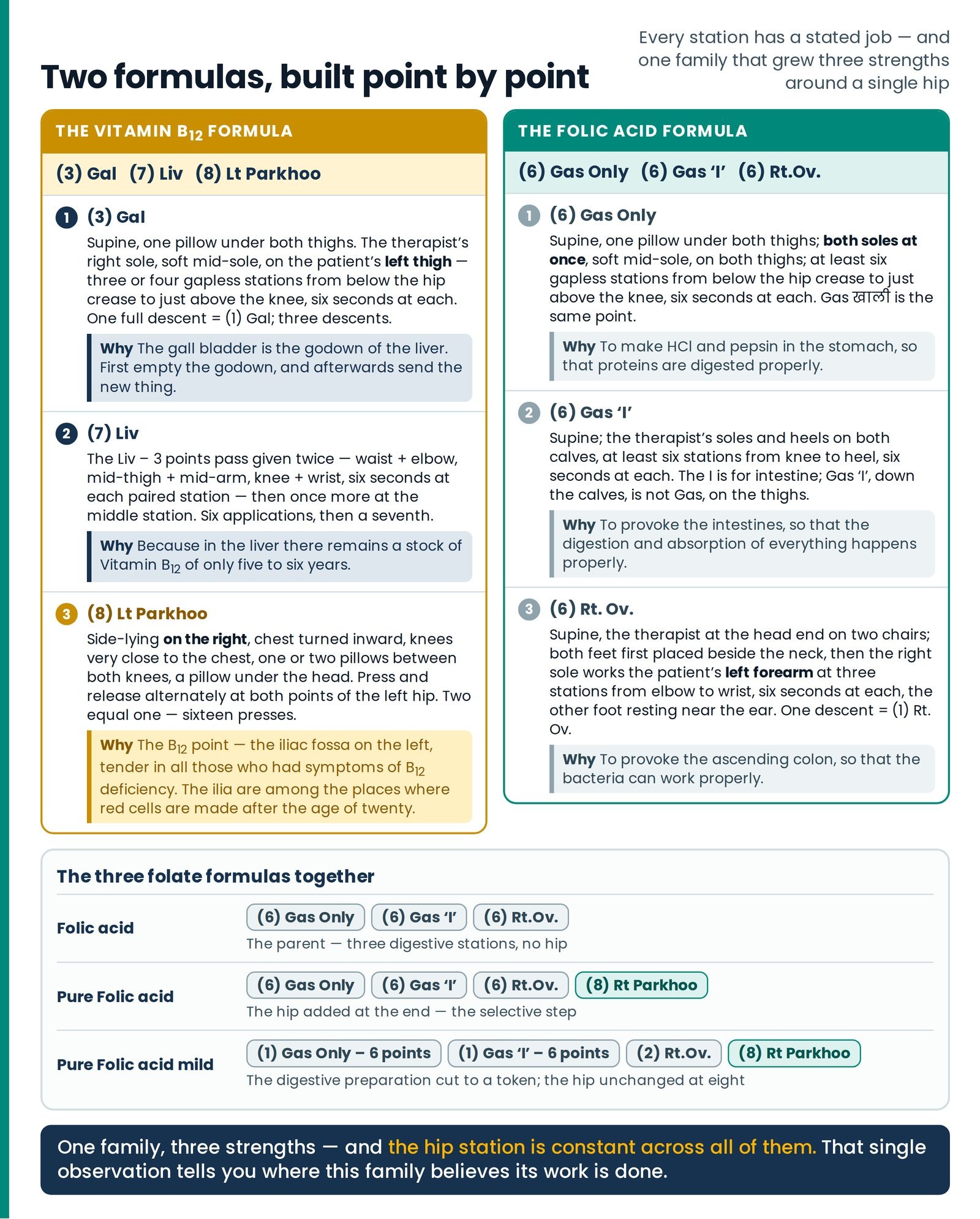 Two formulas, built point by point. The Vitamin B₁₂ formula and the Folic acid formula side by side, each station with t