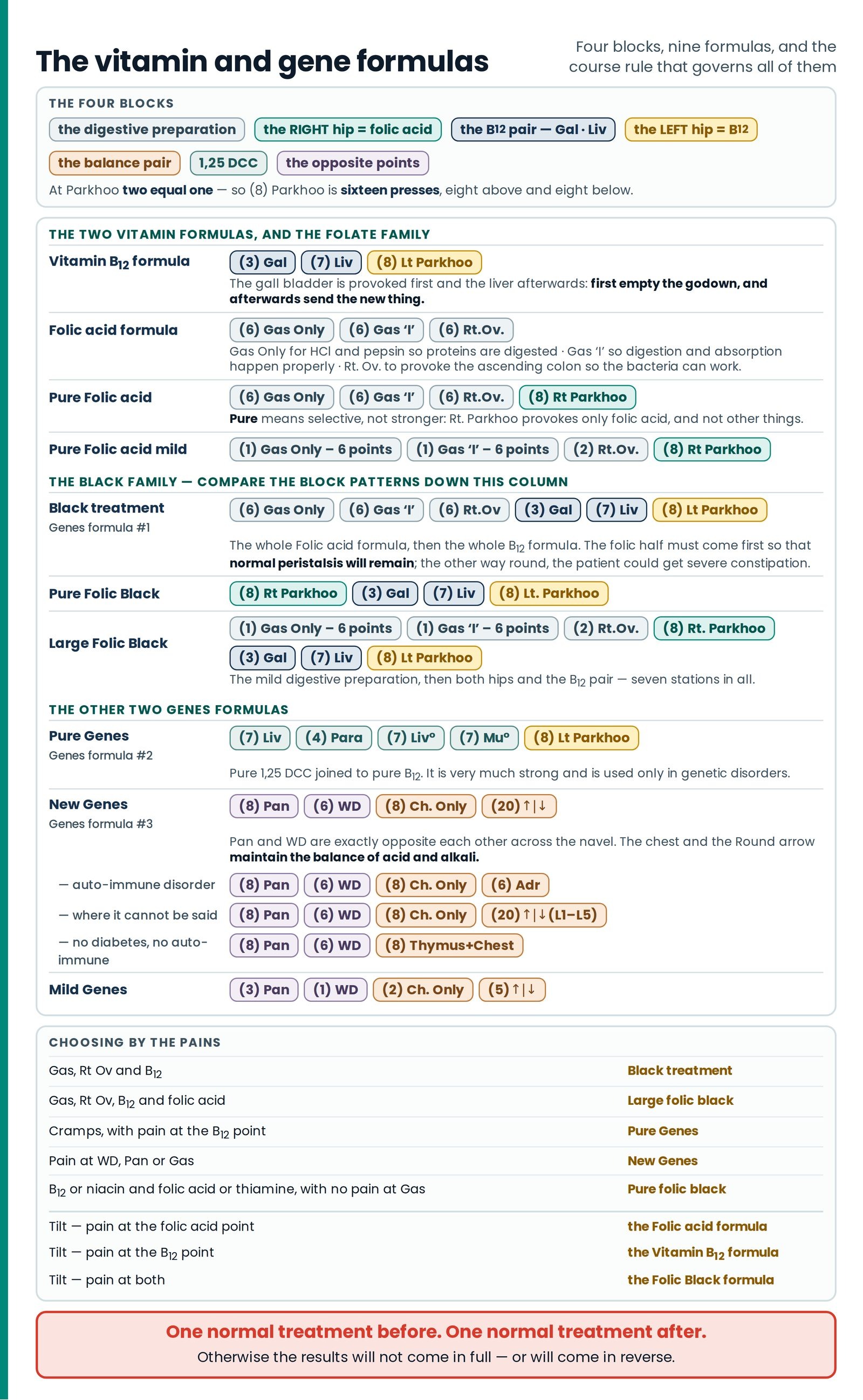 The vitamin and gene formulas. The whole article on one sheet: the blocks the family is built out of, nine formulas each