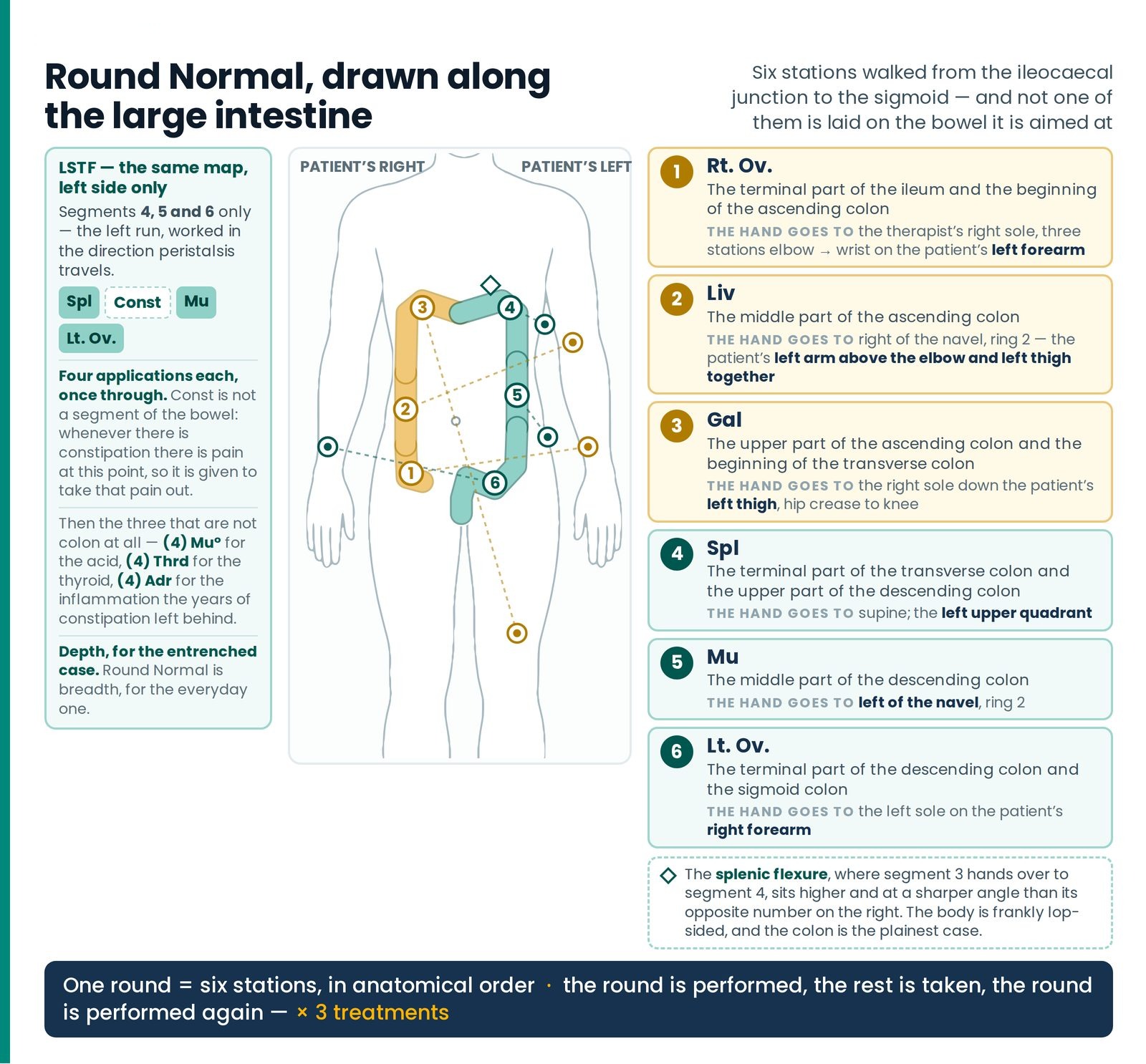 Round Normal, drawn along the large intestine. The six stations of Round Normal set on the segment of large bowel each i