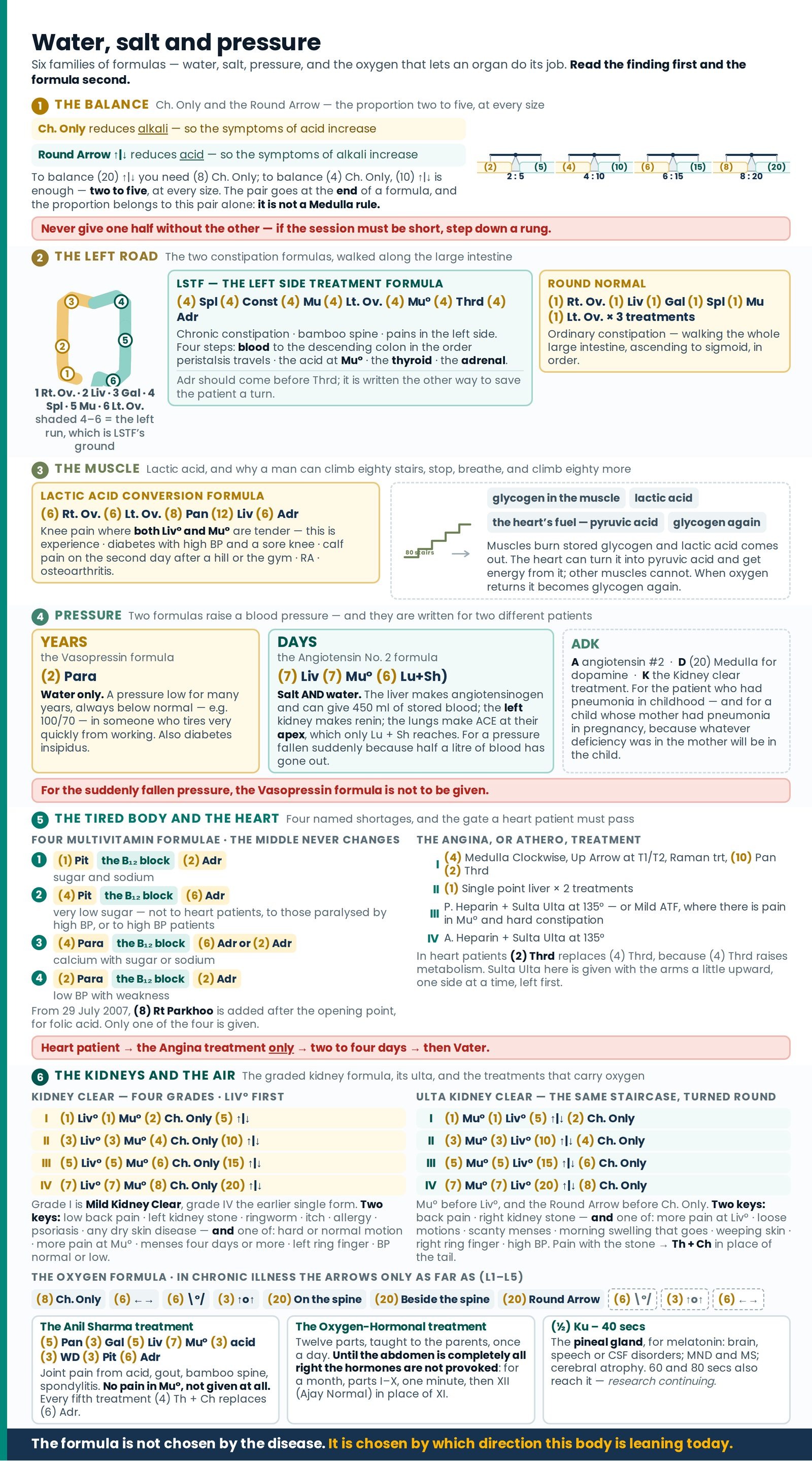Water, salt and pressure. The whole article on one sheet, in the six bands the brief asks for: the balance pair and its
