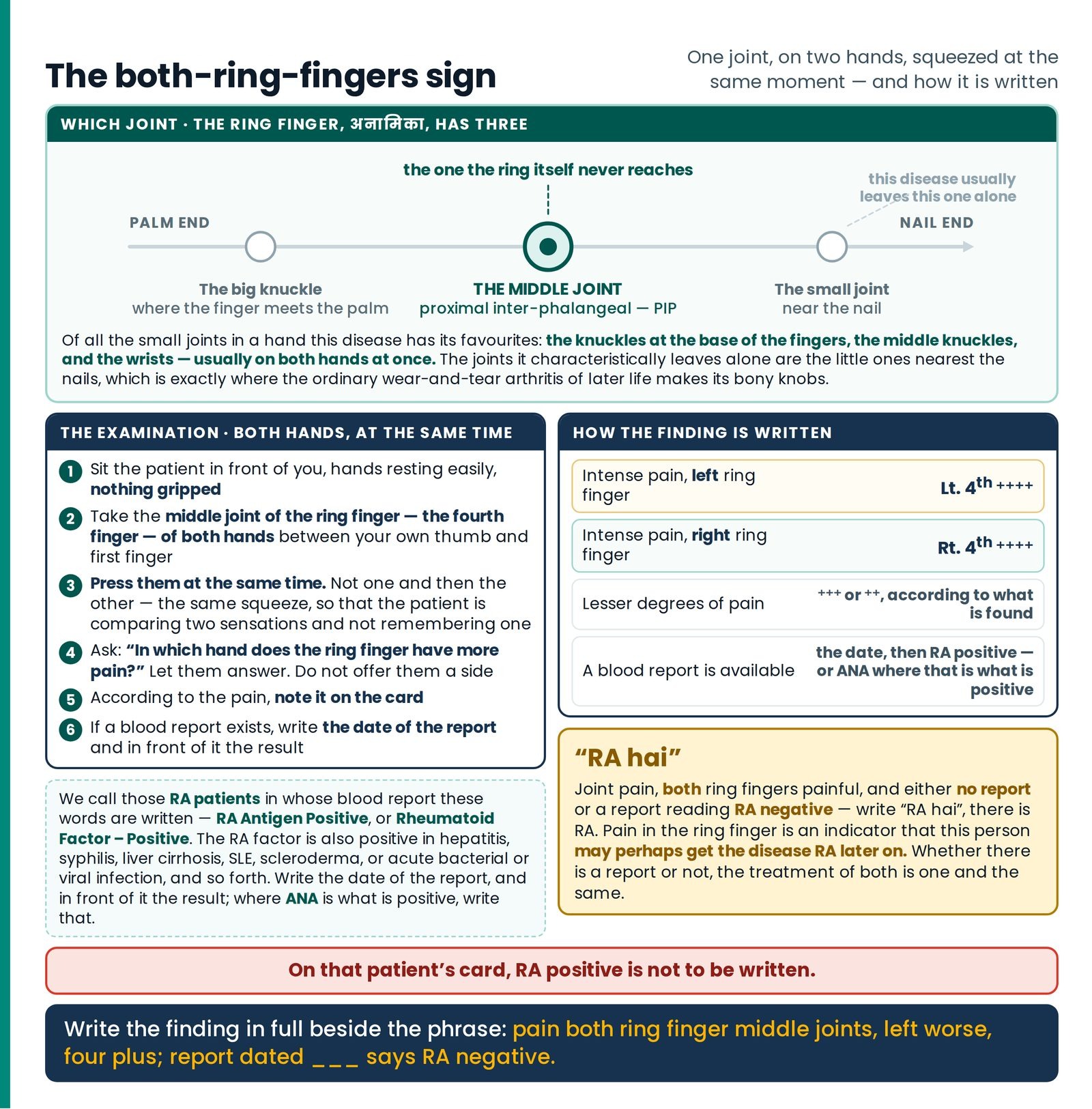 The both-ring-fingers sign. Which of the ring finger's three joints is meant, set out as a level diagram from the palm e