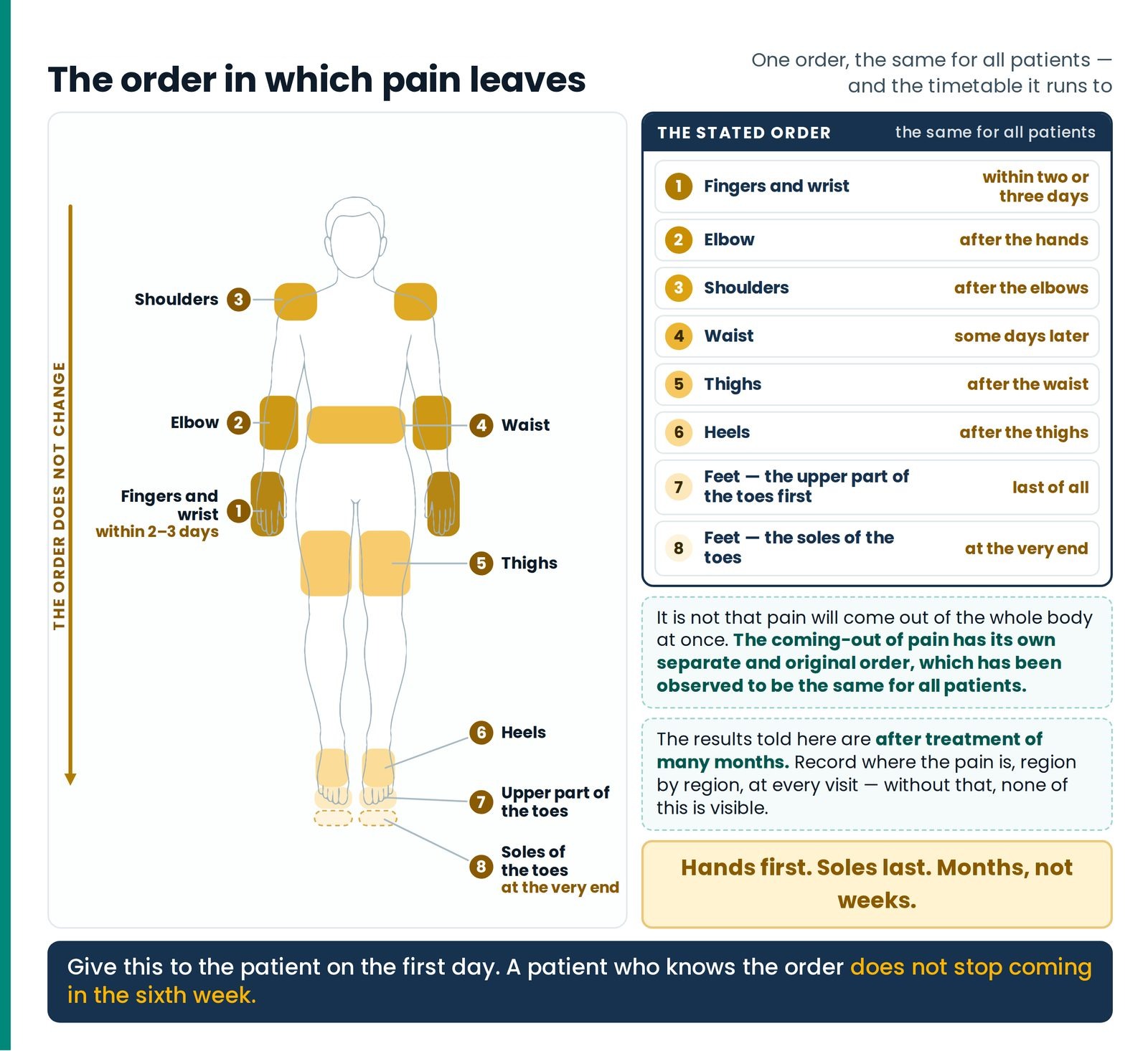 The order in which pain leaves. A front-facing outline with eight regions shaded in one accent graded from the most satu