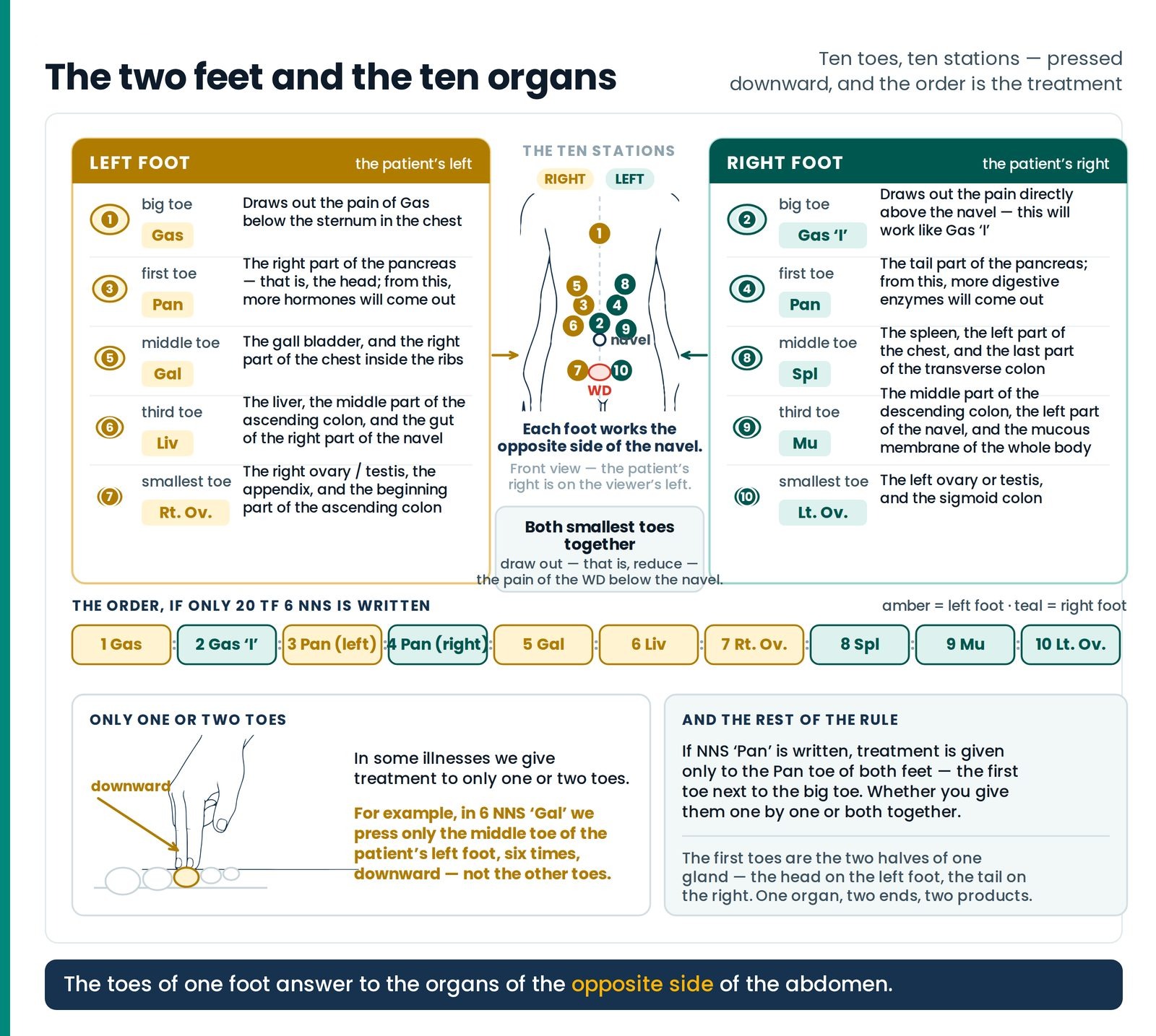 The two feet and the ten organs. The ten toe stations as two keyboards — which toe, which organ, which foot — with the s